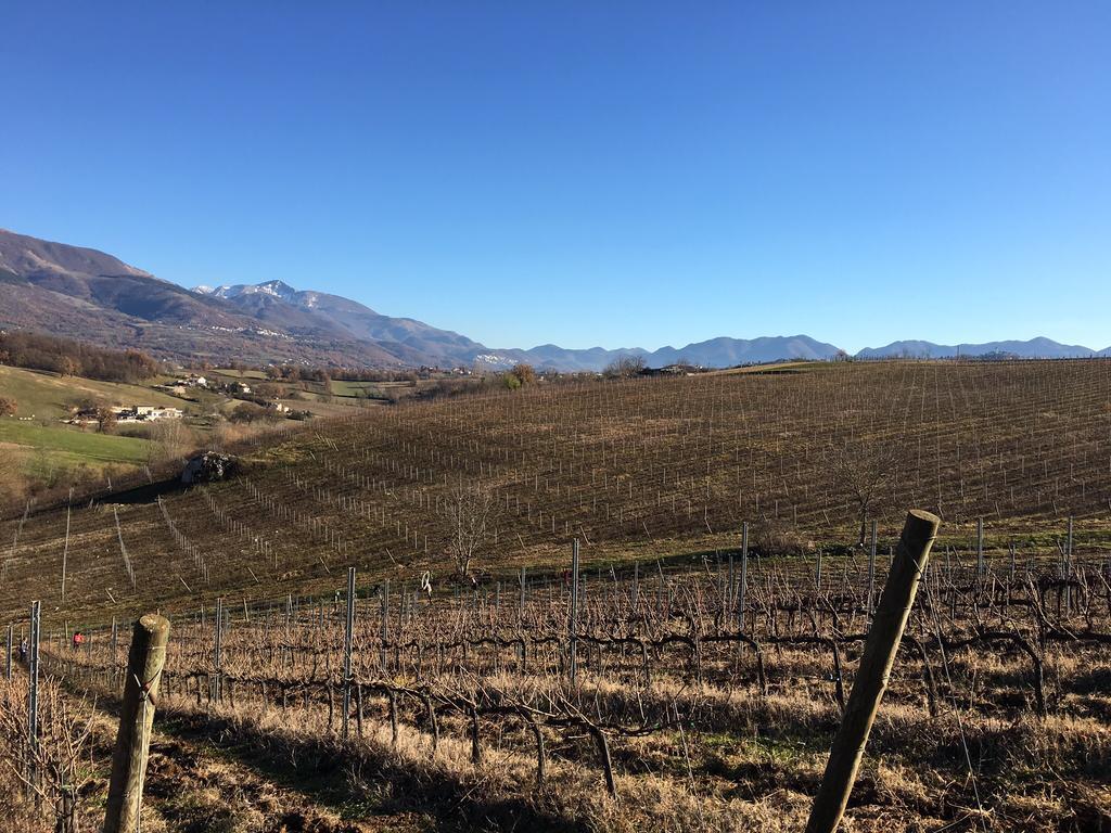 Agriturismo Di Charme Erbadoro 알비토 외부 사진