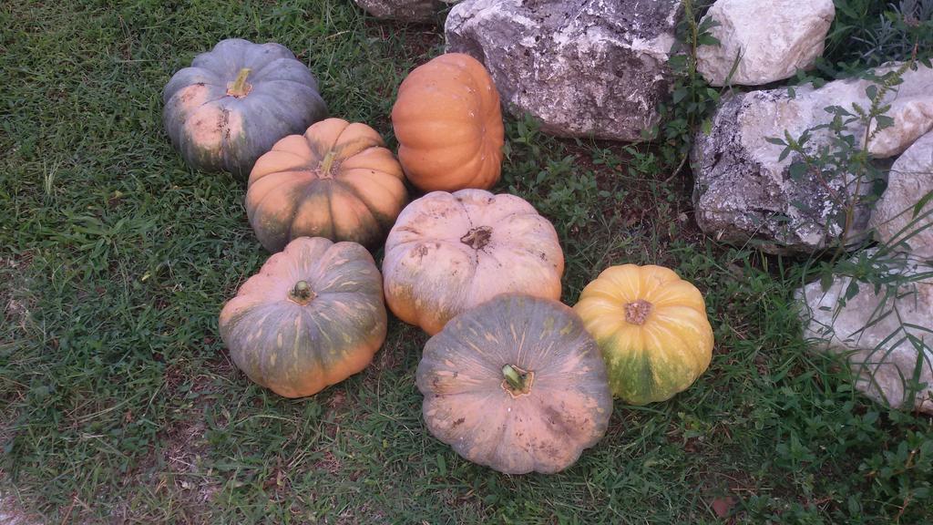 Agriturismo Di Charme Erbadoro 알비토 외부 사진