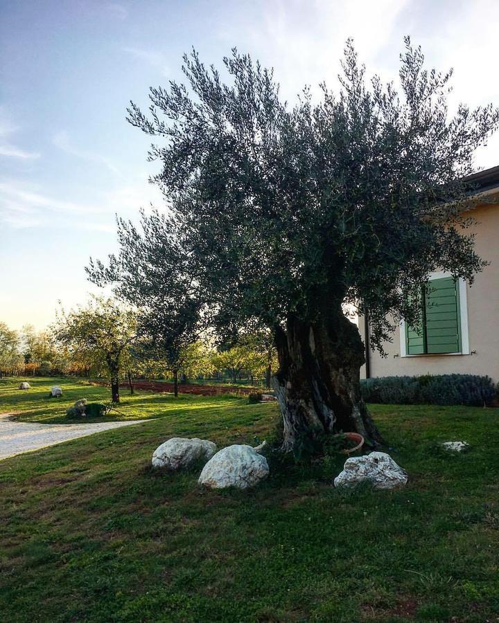 Agriturismo Di Charme Erbadoro 알비토 외부 사진