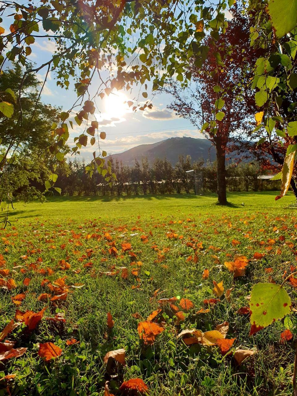 Agriturismo Di Charme Erbadoro 알비토 외부 사진